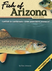 Fish Of Arizona Field Guide