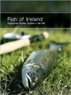 Bertrand.pt - Fish Of Ireland