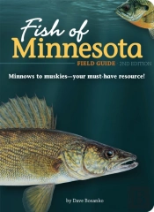 Fish Of Minnesota Field Guide