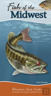 Fish Of The Midwest