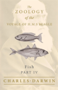 Fish - Part Iv -  The Zoology Of The Voyage Of H.M.S Beagle