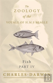 Fish - Part Iv -  The Zoology Of The Voyage Of H.M.S Beagle
