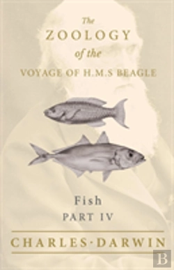 Bertrand.pt - Fish - Part Iv -  The Zoology Of The Voyage Of H.M.S Beagle