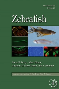 Bertrand.pt - Fish Physiology: Zebrafish