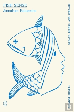 Bertrand.pt - Fish Sense (Picador Shorts)
