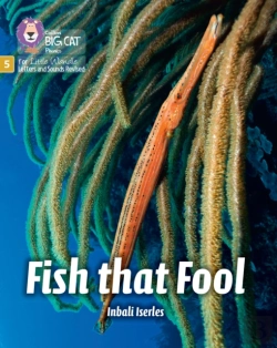 Bertrand.pt - Fish That Fool