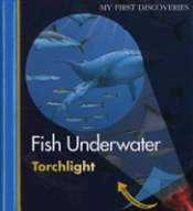 Fish Underwater