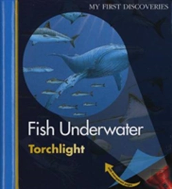 Bertrand.pt - Fish Underwater