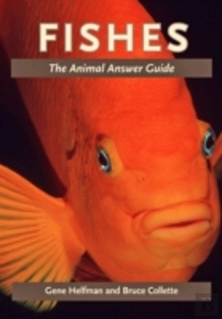 Bertrand.pt - Fishes