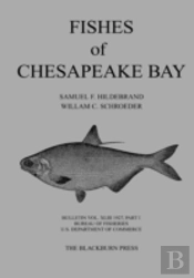 Fishes Of Chesapeake Bay