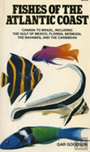 Fishes Of The Atlantic Coast