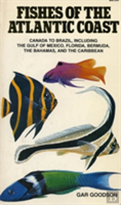 Bertrand.pt - Fishes Of The Atlantic Coast