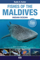 Fishes Of The Maldives