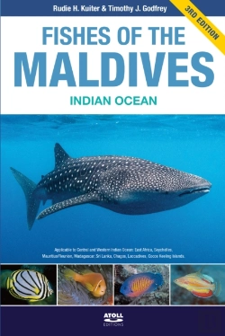 Bertrand.pt - Fishes Of The Maldives