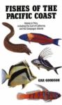 Fishes Of The Pacific Coast
