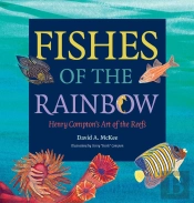 Fishes Of The Rainbow