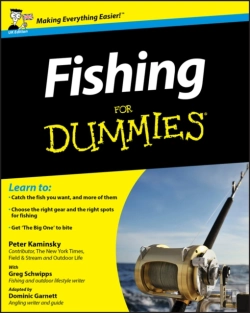 Bertrand.pt - Fishing For Dummies, Uk Edition
