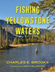 Fishing Yellowstone Waters