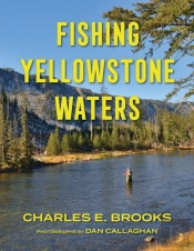 Fishing Yellowstone Waters