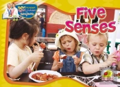 Five Senses