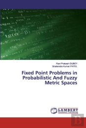 Fixed Point Problems In Probabilistic And Fuzzy Metric Spaces