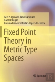 Fixed Point Theory In Metric Type Spaces