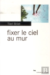 Fixer Le Ciel Au Mur