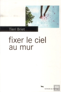 Bertrand.pt - Fixer Le Ciel Au Mur
