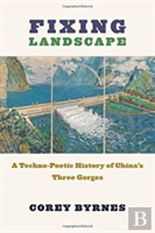Fixing Landscape