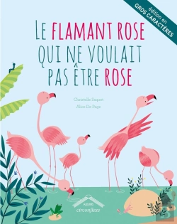 Bertrand.pt - Flamant Rose Qui Ne Voulait Pas Etre Rose - Gros Caracteres
