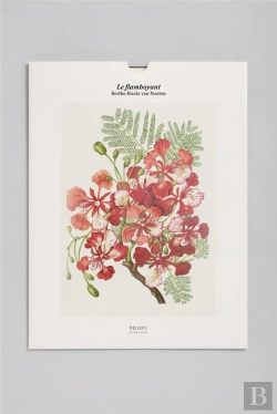 Bertrand.pt - Flamboyant