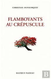 Flamboyants Au Crépuscule