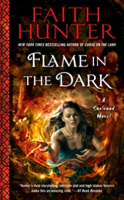 Bertrand.pt - Flame In The Dark