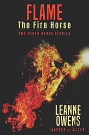 Flame The Fire Horse And Other Horse Stories