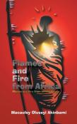 Flames And Fire From Africa