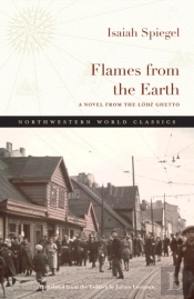 Flames From The Earth