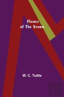 Flames Of The Storm