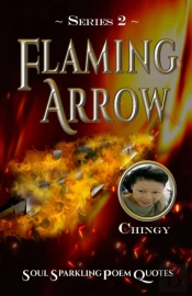Flaming Arrow - Series 2