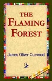 Flaming Forest