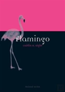 Bertrand.pt - Flamingo