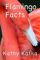 Flamingo Facts
