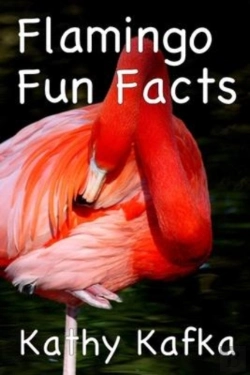 Bertrand.pt - Flamingo Fun Facts