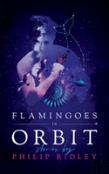 Flamingoes In Orbit