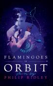 Flamingoes In Orbit