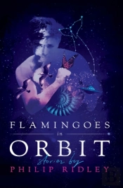 Flamingoes In Orbit