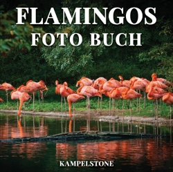 Bertrand.pt - Flamingos Foto Buch