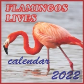 Flamingos Lives Calendar 2022