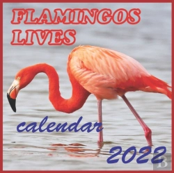 Bertrand.pt - Flamingos Lives Calendar 2022