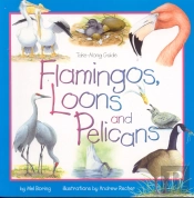 Flamingos, Loons & Pelicans