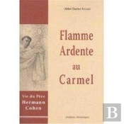 Flamme Ardente Au Carmel ; Vie Du Père Hermann Cohen